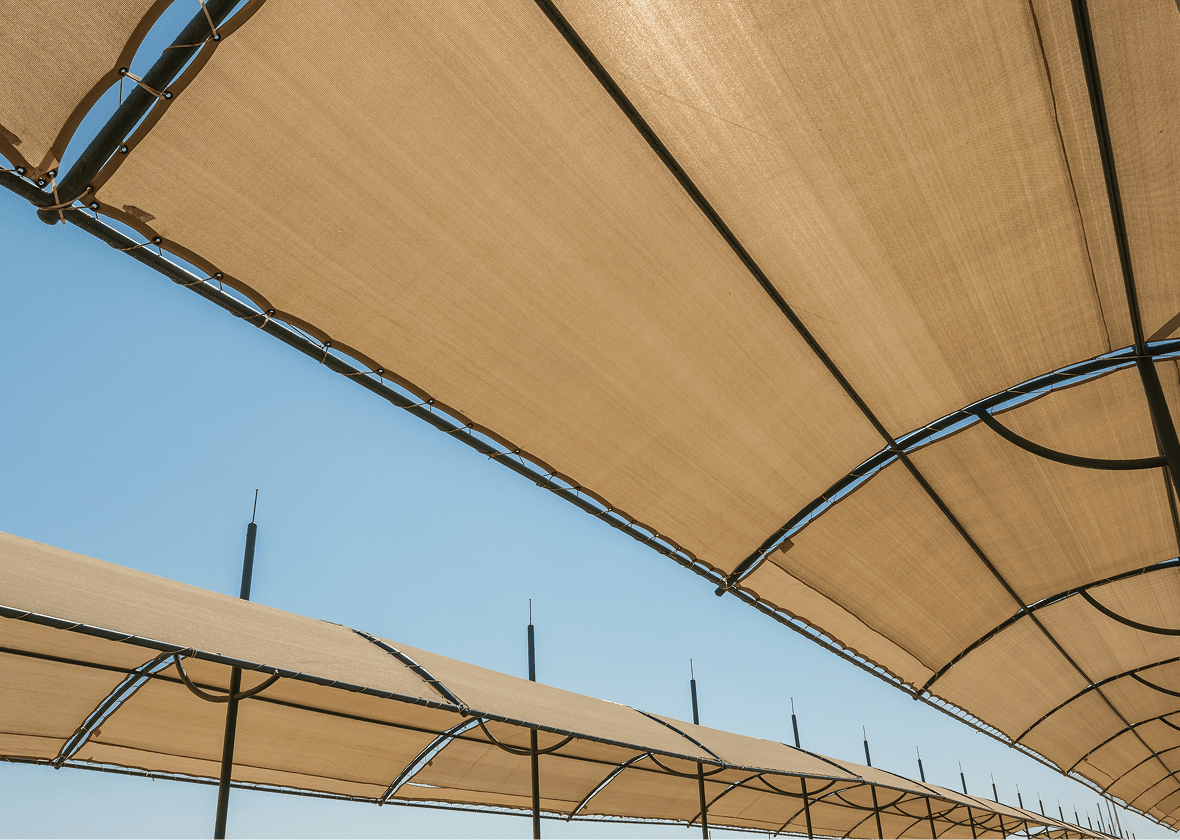 Tan canopy sunshades under clear blue sky